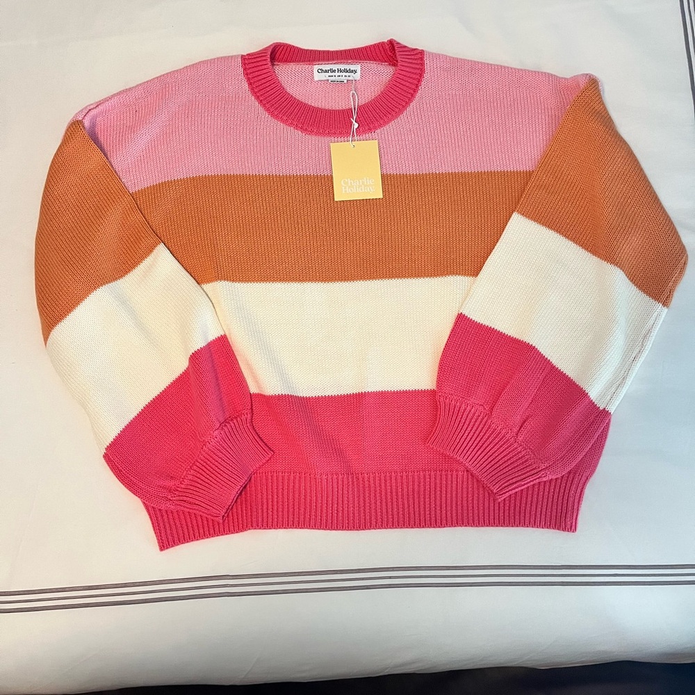 NWT Charlie Holiday Penny Knit Striped Sweater! Size Large